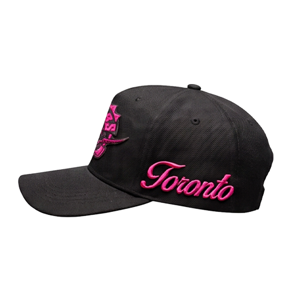 THE RAPTORS HAT